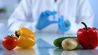 新修訂《食品安全法實(shí)施條例》增設(shè)‘處罰到人’ 最高可處年收入10倍罰款，強(qiáng)化食品銷售監(jiān)管