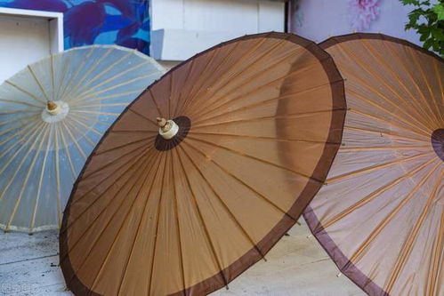 數(shù)字化升級(jí)，共創(chuàng)美好未來(lái)——紙世界網(wǎng)的紙制品銷(xiāo)售新篇章